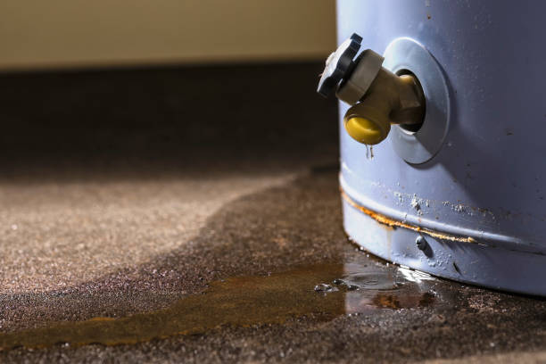 Best Basement water damage restoration  in Cool Valley, MO