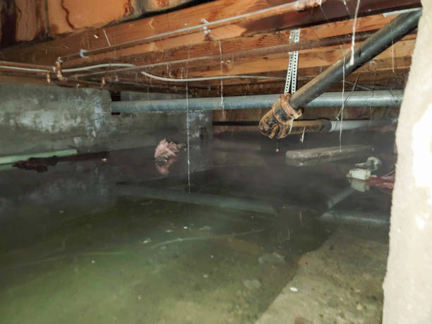  Cool Valley, MO Water damage restoration Pros