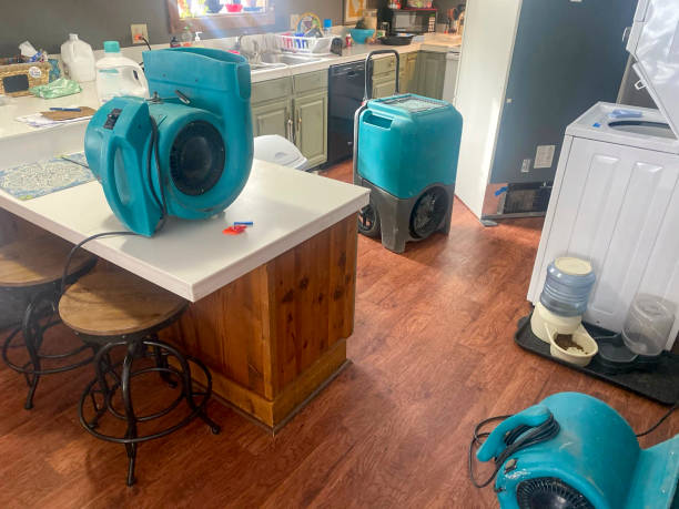 Best Water damage restoration near me  in Cool Valley, MO