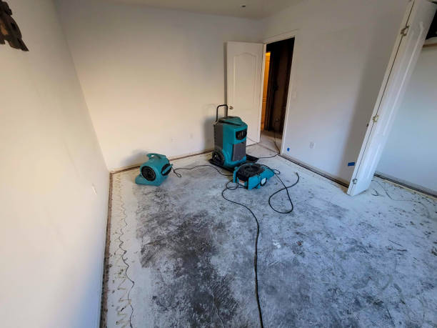 Best Water damage restoration mold remediation  in Cool Valley, MO