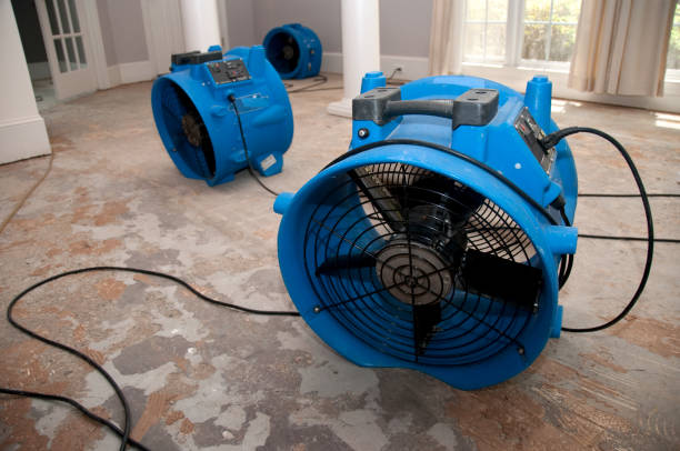 Best Emergency water extraction  in Cool Valley, MO