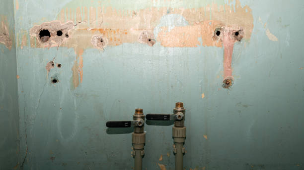 Best Water damage contractors near me  in Cool Valley, MO