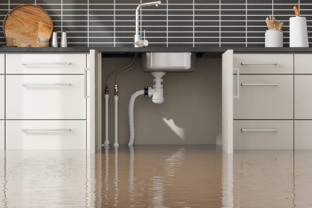 Water damage restoration mold remediation in Cool Valley, MO