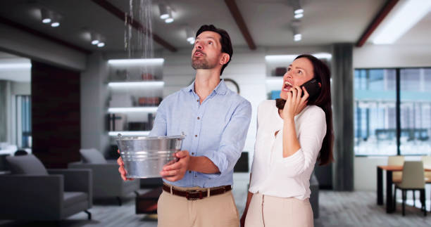 Best Local water damage restoration  in Cool Valley, MO
