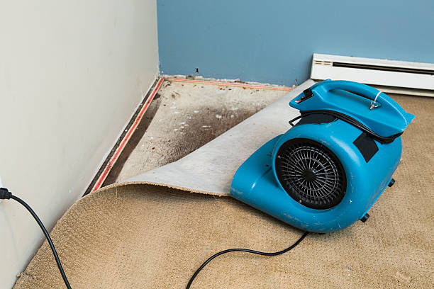 Best Residential water damage restoration  in Cool Valley, MO